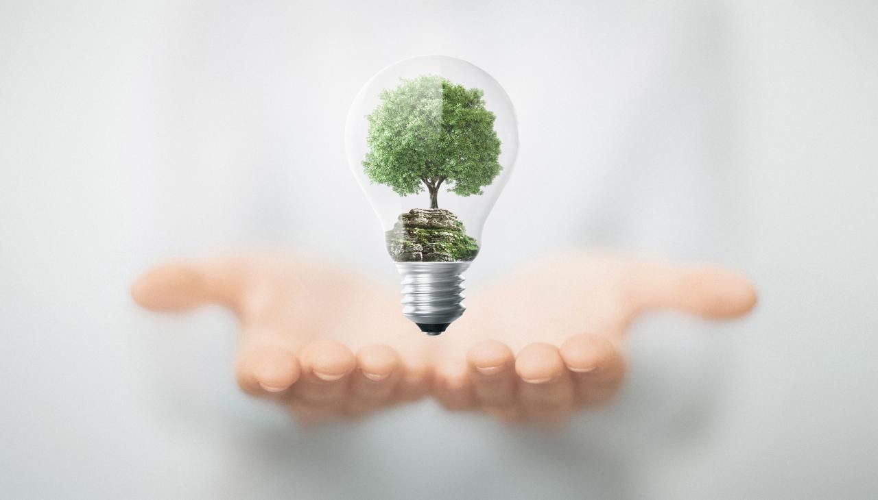 Jardin Le Brea - Ecologie